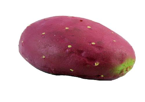 Tuna Morada